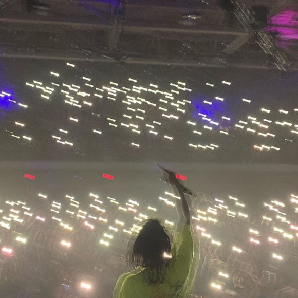 Meet your Posher, Ilsa - Picture 1 of 1